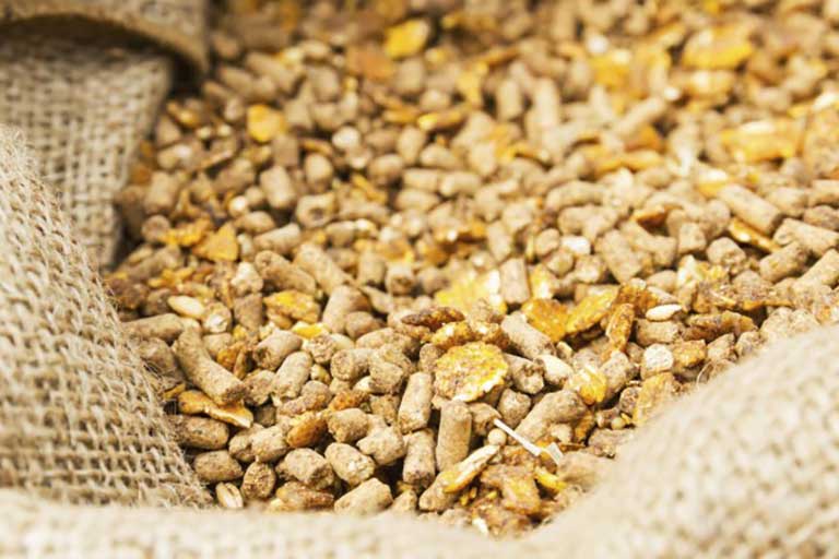 Feed Quality Testing