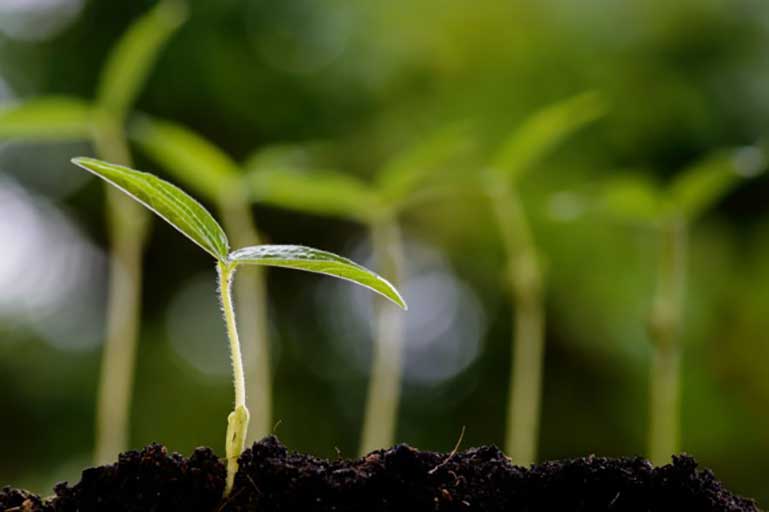 Agricultural Testing