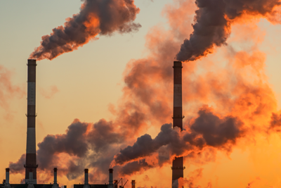 Dioxins, Furans and dL-PCB's